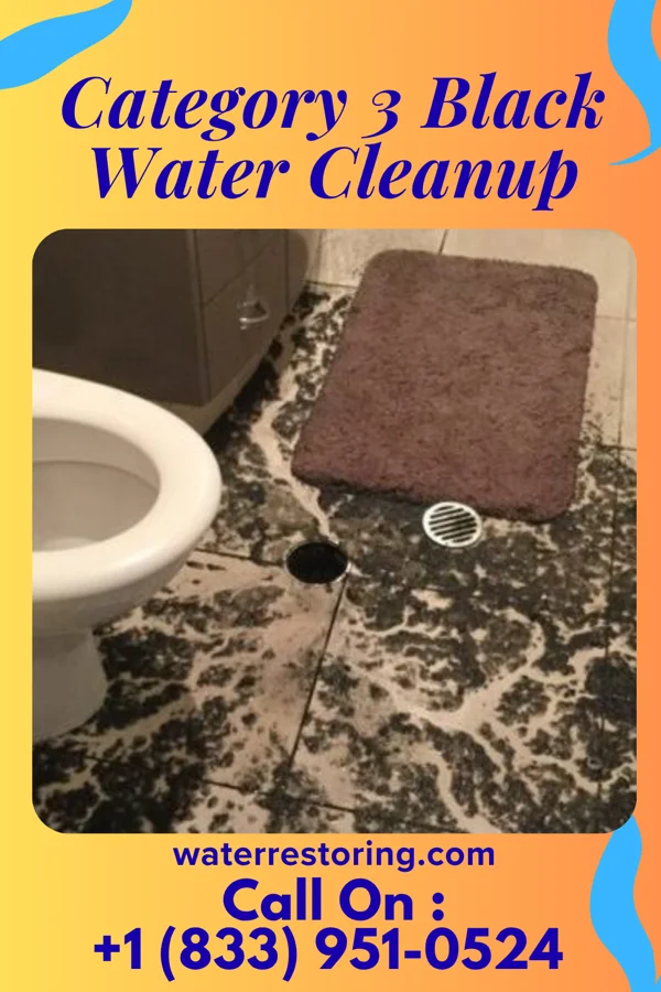 Category 3 Black Water Cleanup in Shaniko, OR